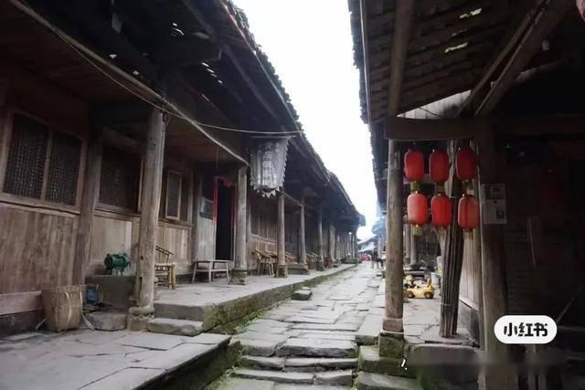 雷竞技比分